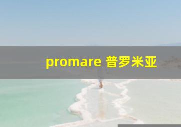 promare 普罗米亚